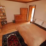 Garden House Tatil Evi Selçuk