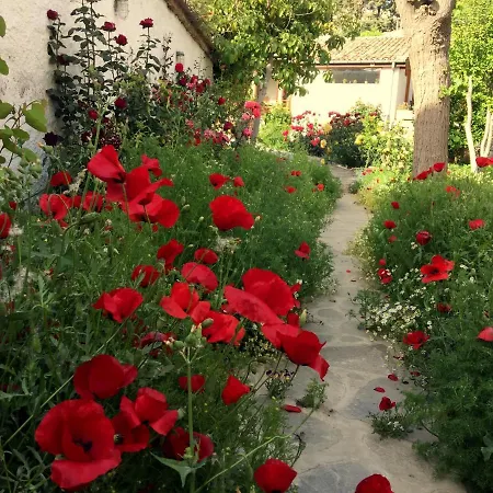 Vakantiehuis Garden House Selçuk