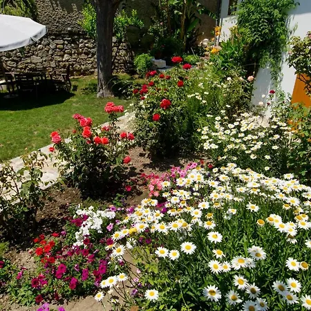 Hébergement de vacances Garden House
