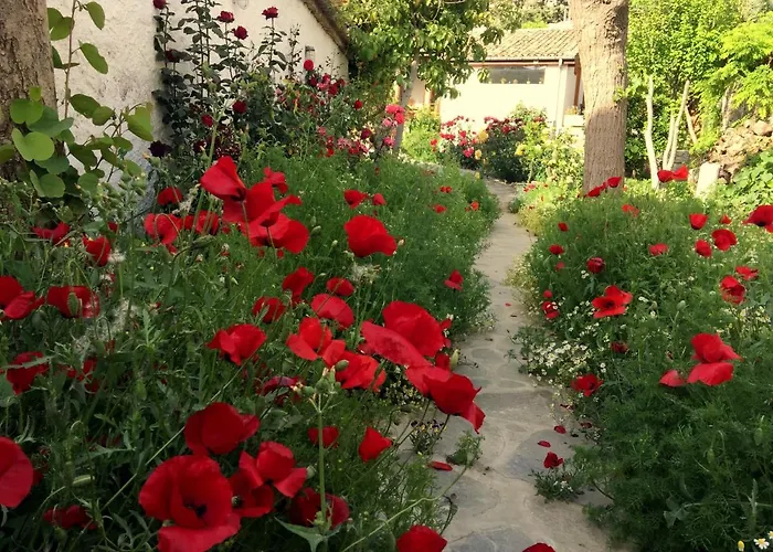 Semesterbostad Garden House Selçuk